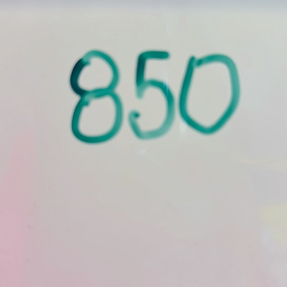 The North Face 1966 Logo Light Brown & Tan T Shirt. Size XL. Hologram On Tag. - Picture 12 of 12